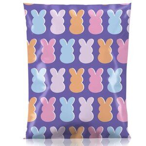 Polymailers New 13”x10”